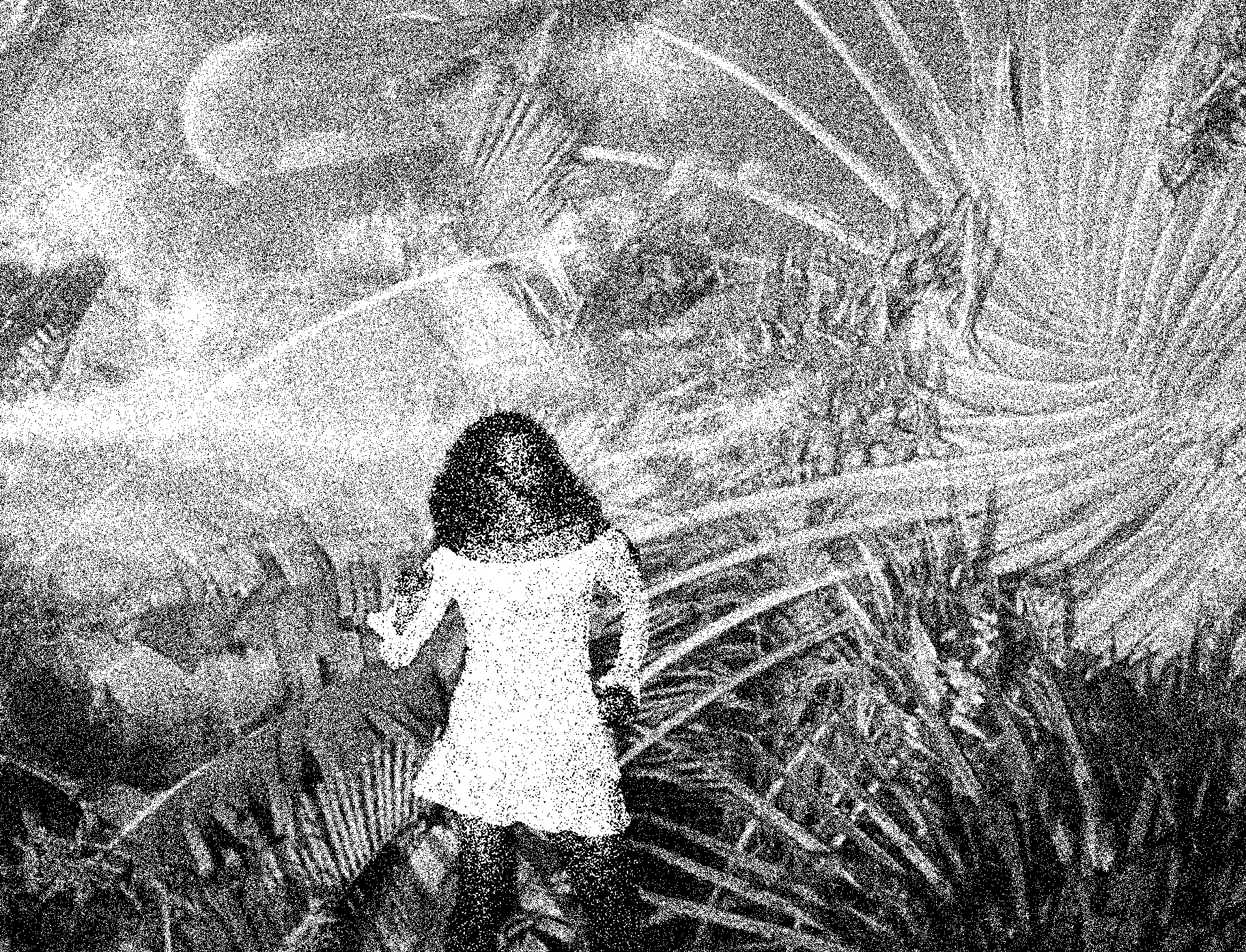 Dawar Aswar, image 2