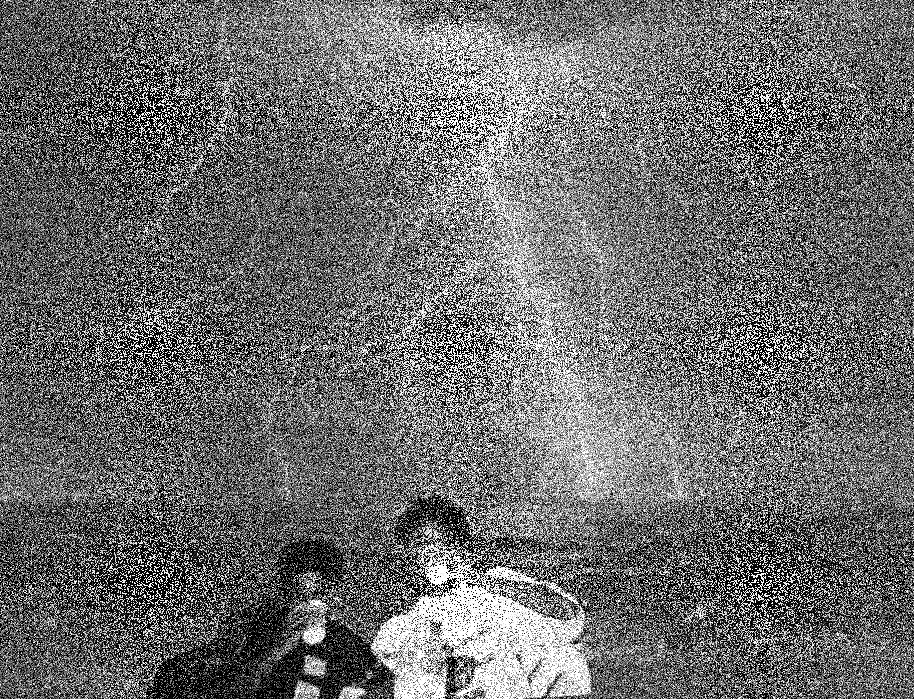 Dawar Aswar, image 1