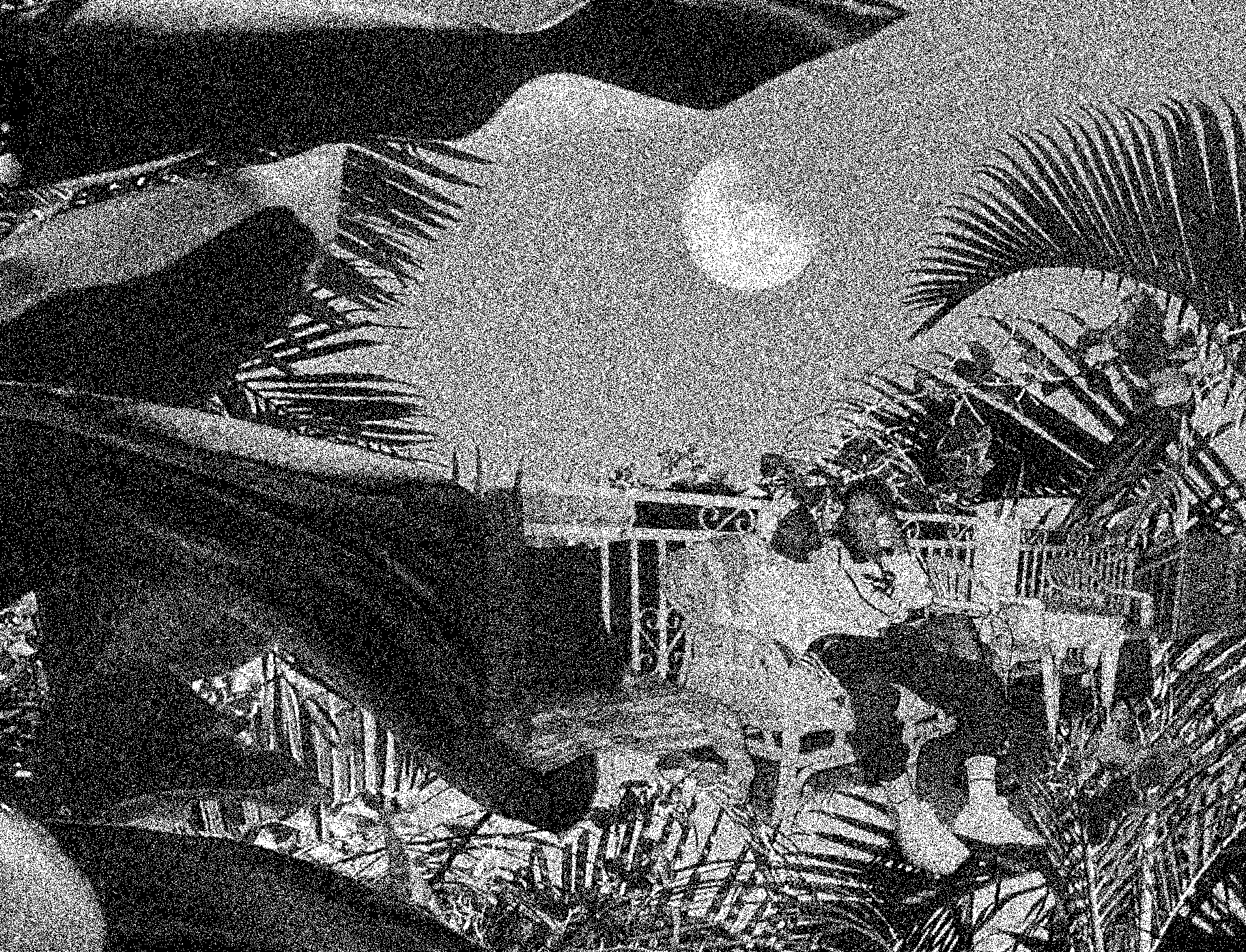 Dawar Aswar, image 4