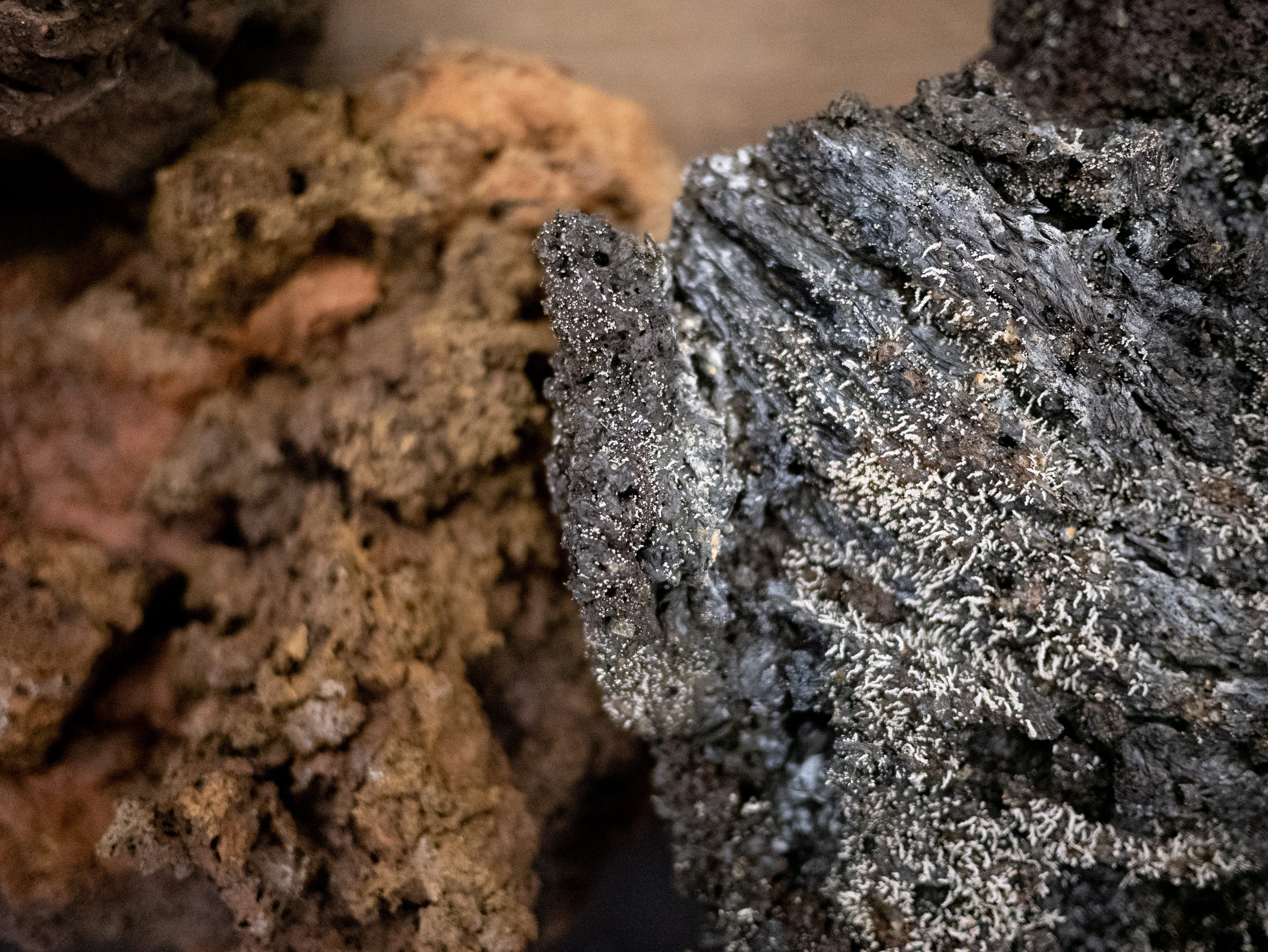 image supplémentaire